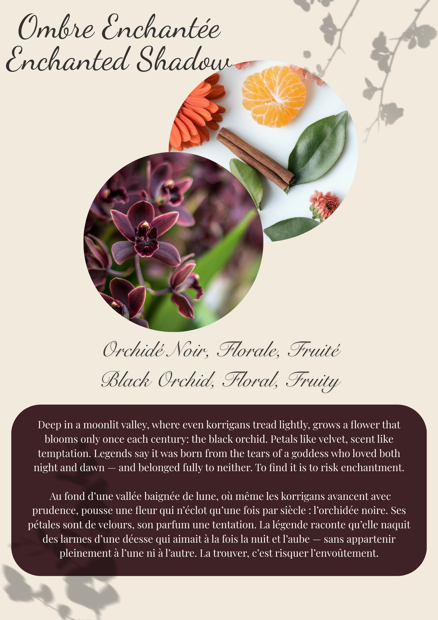 Enchanted collection Scented Wax Melt Snap Bar: Brittany Inspired (Copy) Flamme candle co