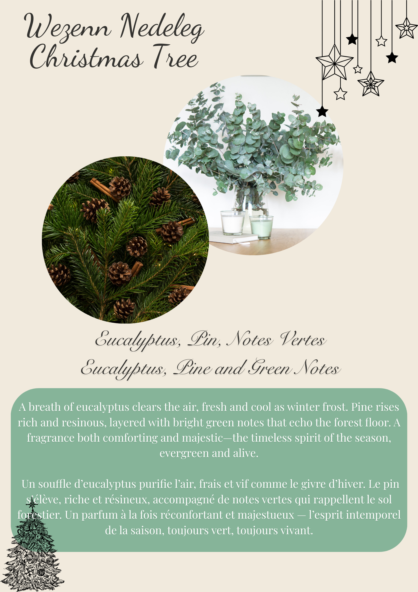 Christmas Spice / Épices de Noël – Single Round Wax Melt Flamme