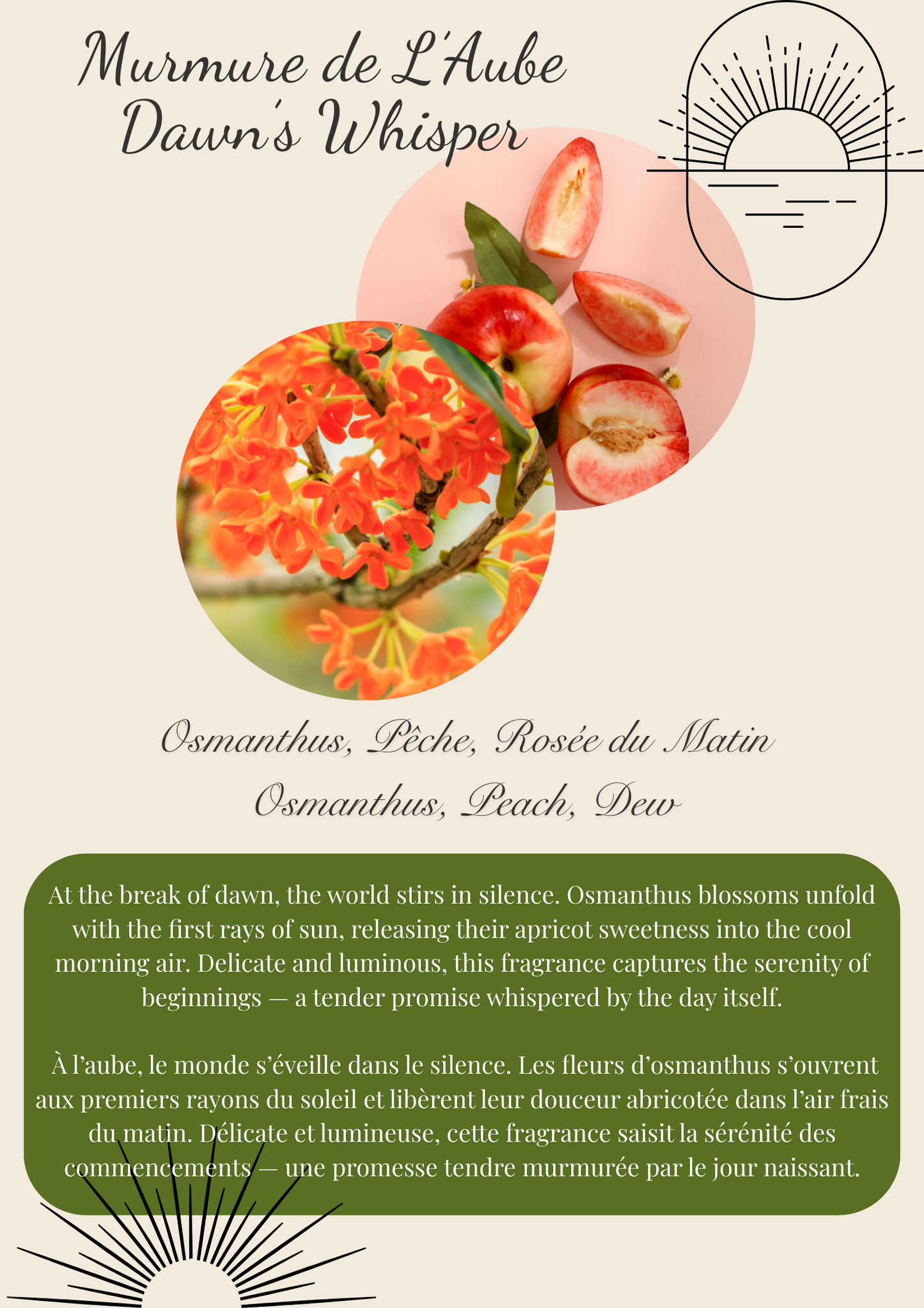 Days Journey Scented Wax Melt Snap Bar: Brittany Inspired Flamme candle co