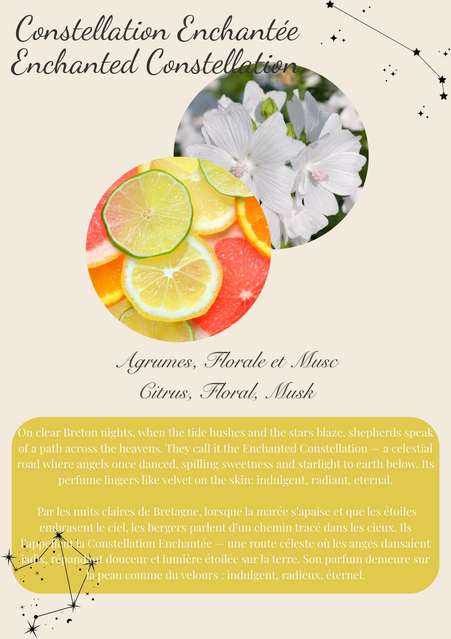 Enchanted Constellation / Constellation Enchantée – Single Round Wax Melt Flamme