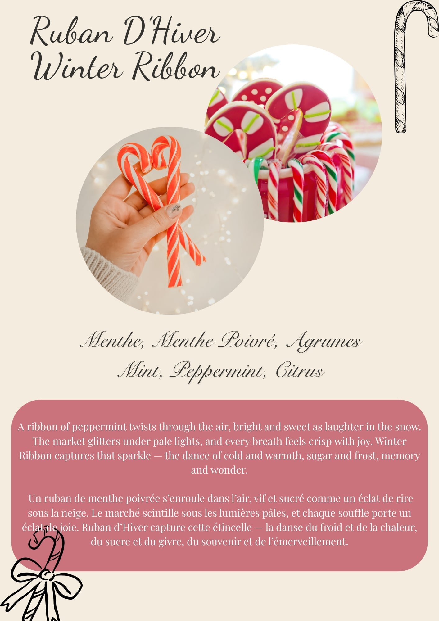 Candy Cane / Canne en Sucre – Single Round Wax Melt Flamme