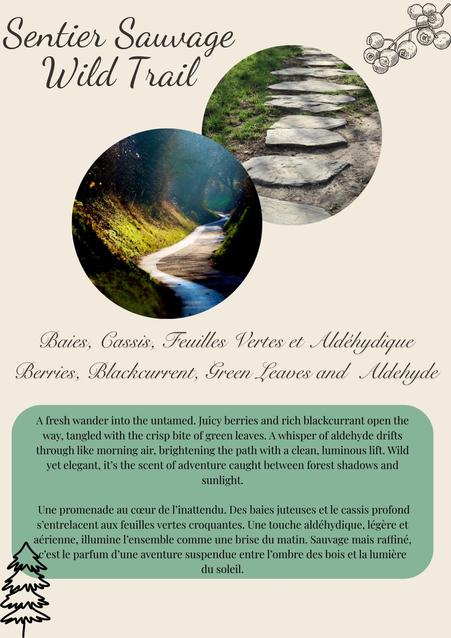 Breton Collection Scented Wax Melts - 50g Flamme candle co