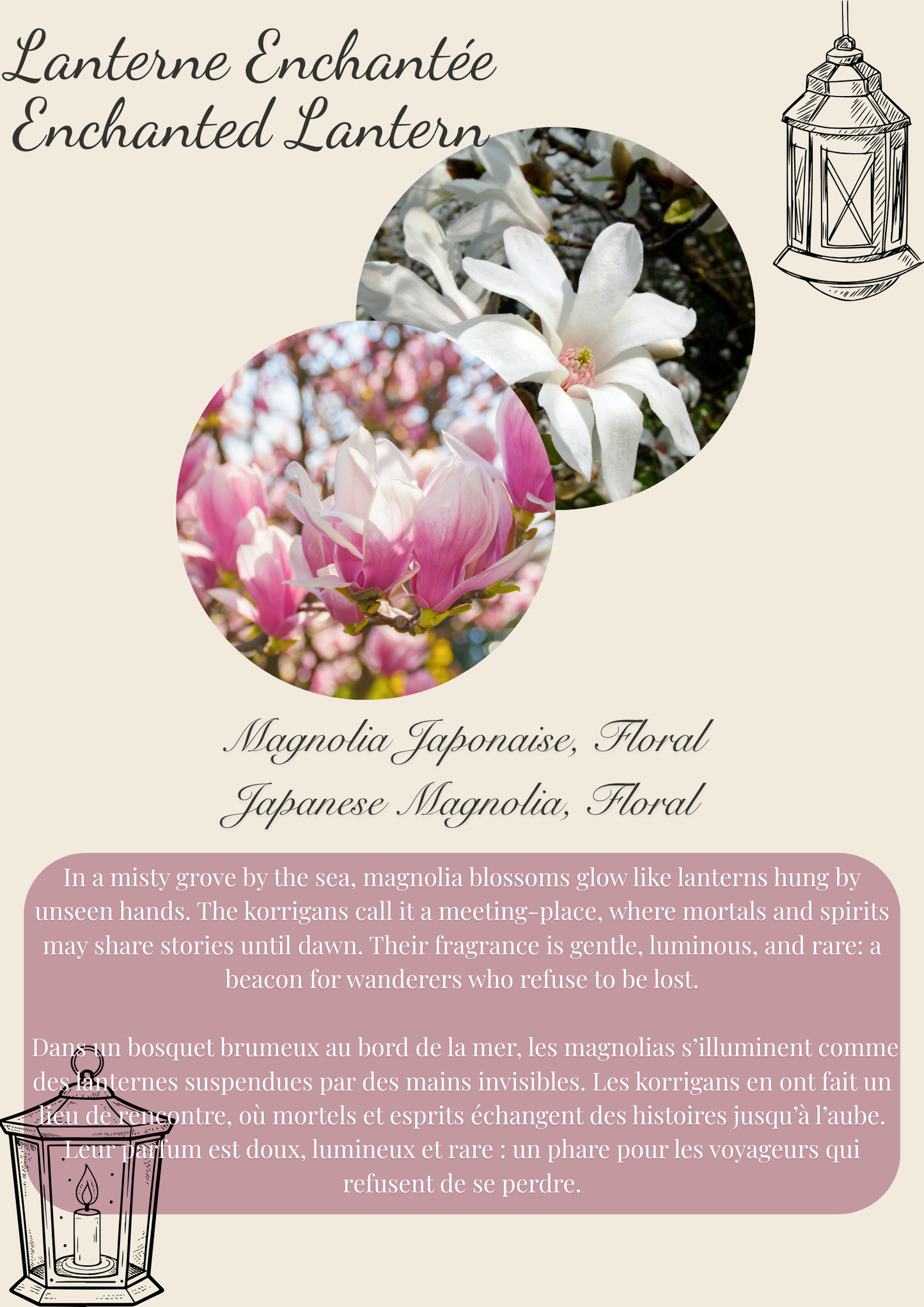 Enchanted Lantern Bubble square wax melts Flamme candle co