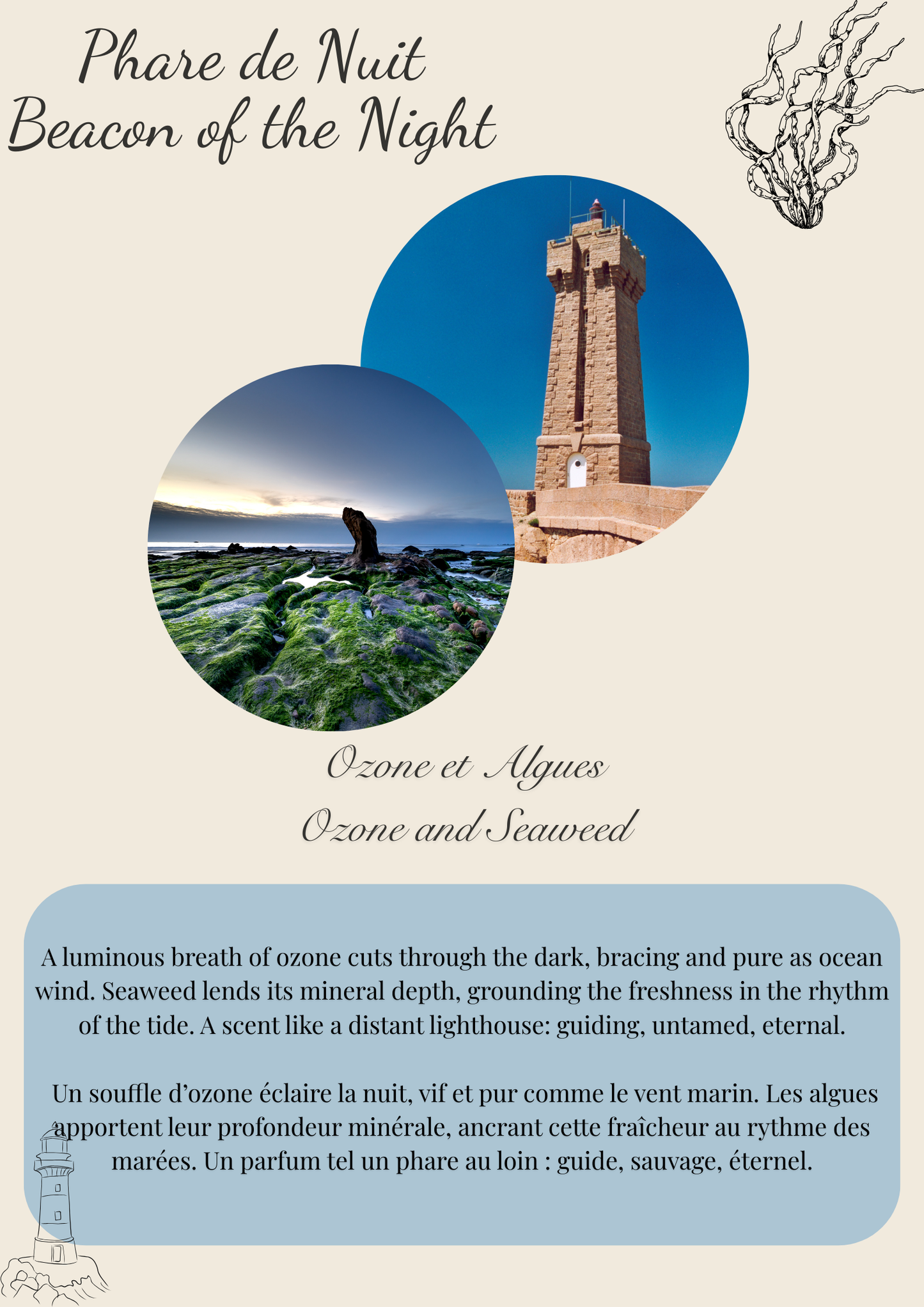 Beacon of the Night/ Phare de Nuit clamshell wax melt Flamme candle co