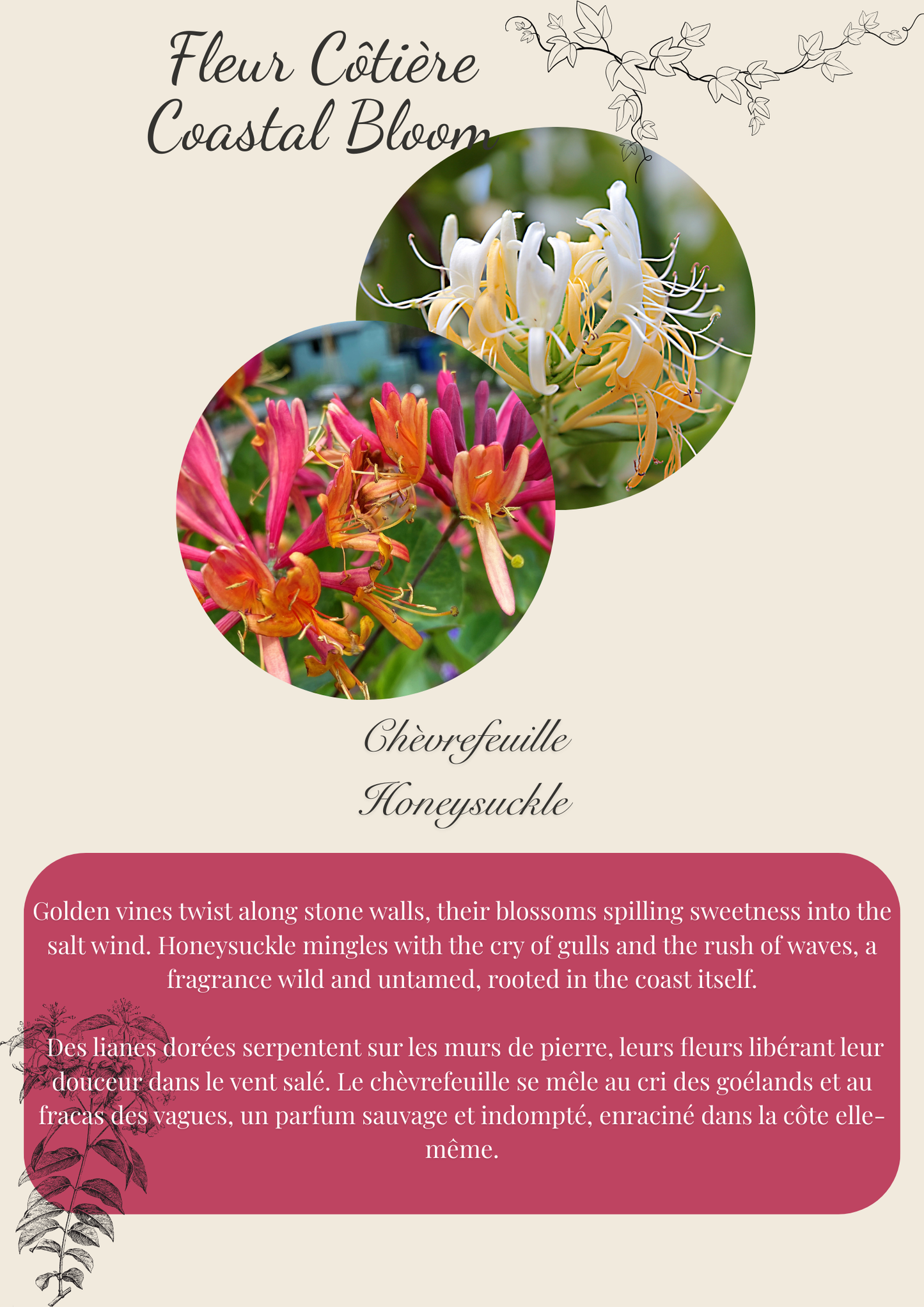 Coastal Bloom wax snap bar Flamme candle co