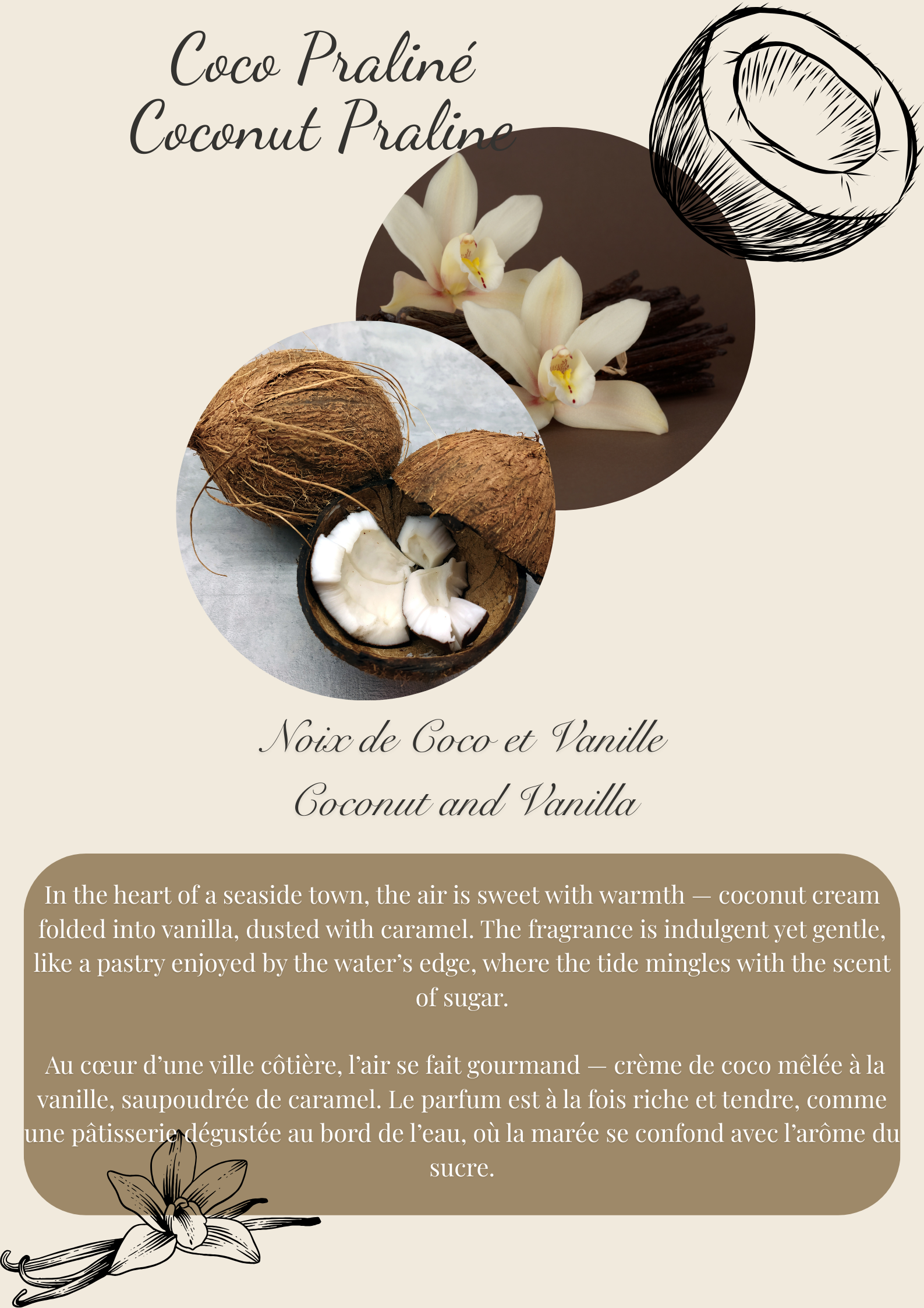 Coconut Praline / Coco Praliné – Single Round Wax Melt Flamme