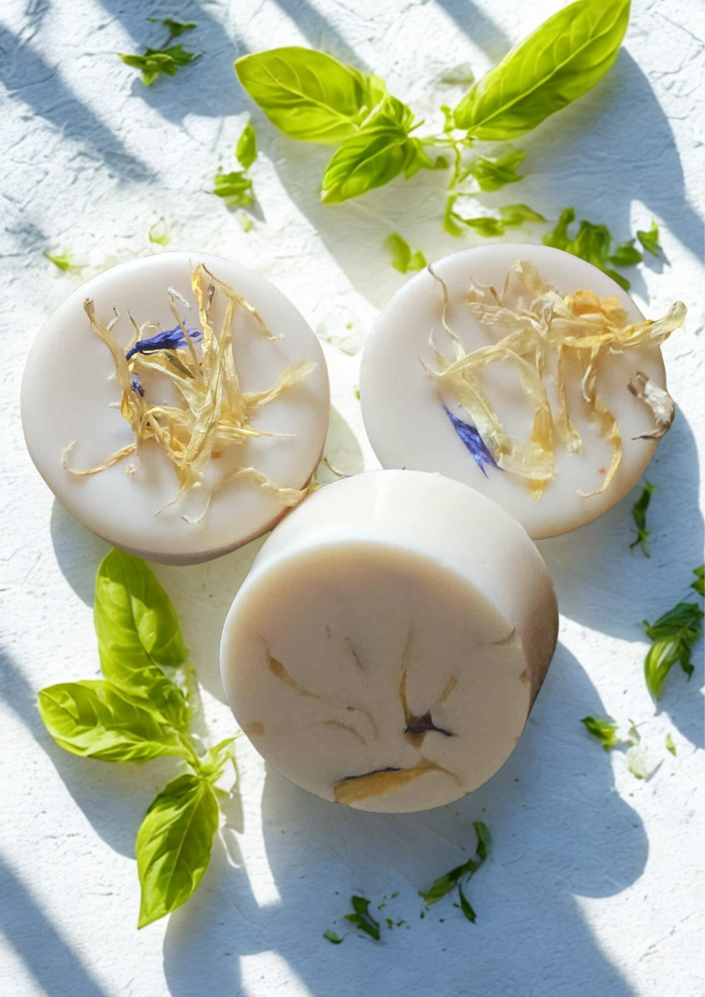 Zest of the Sun / Zeste du Soleil – Single Round Wax Melt — general candle; home fragrance, clean candle, minimal décor, bougie artisanale