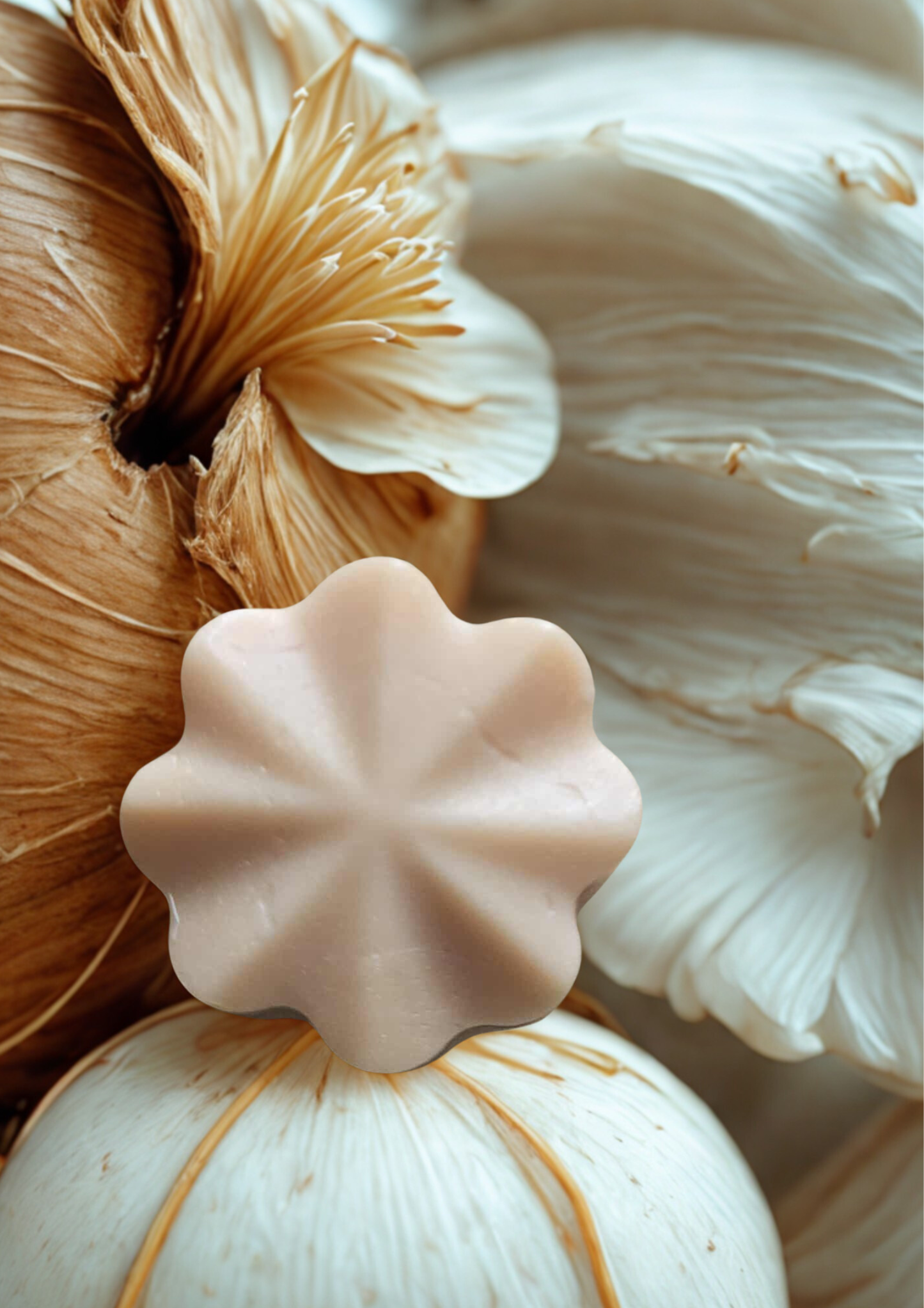 Coconut Praline / Coco Praliné – Mini Wax Melts — gourmand candle; gourmand candle, candy cane, vanilla, caramel, sweet candle, bougie gourmande, canne de bonbon, vanille