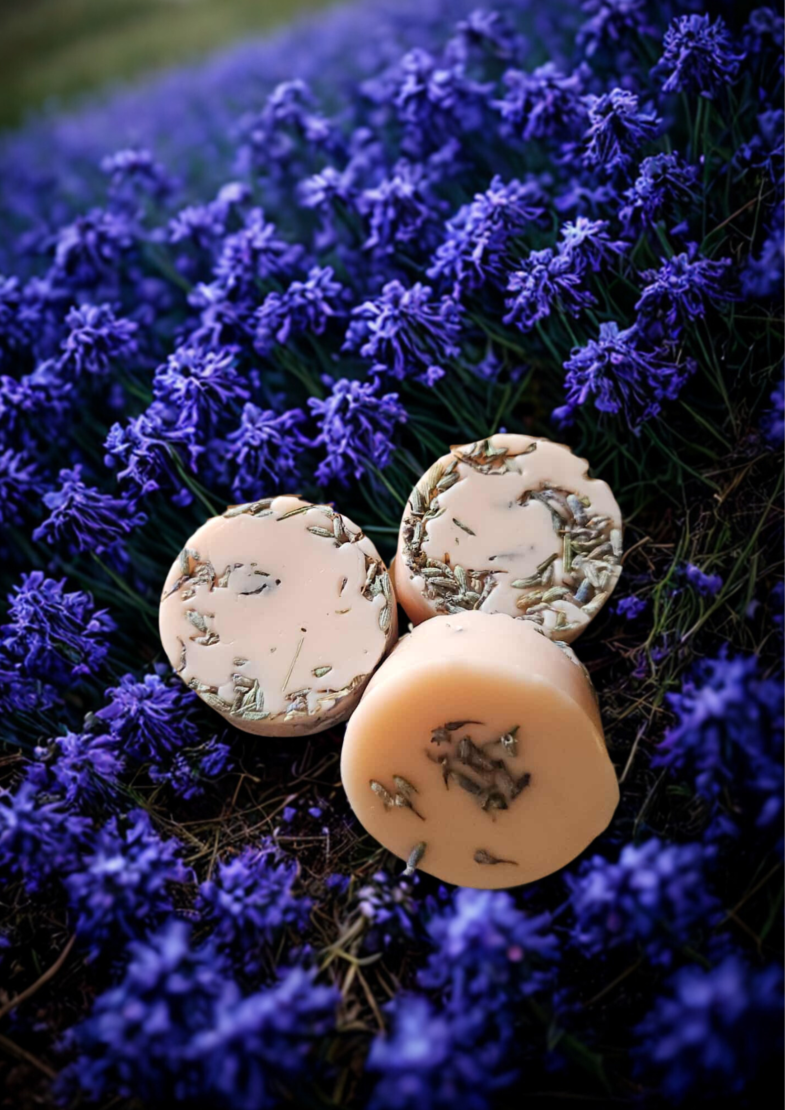 Enchanted Bell / Cloche Enchantée – Single Round Wax Melt Flamme