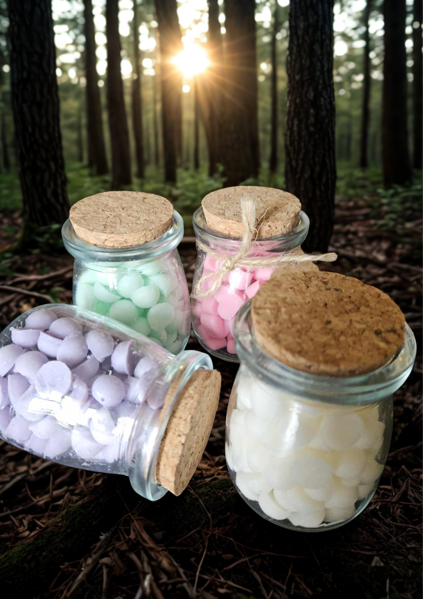 Land of Forests / Pays des Forêts – Melties Flamme