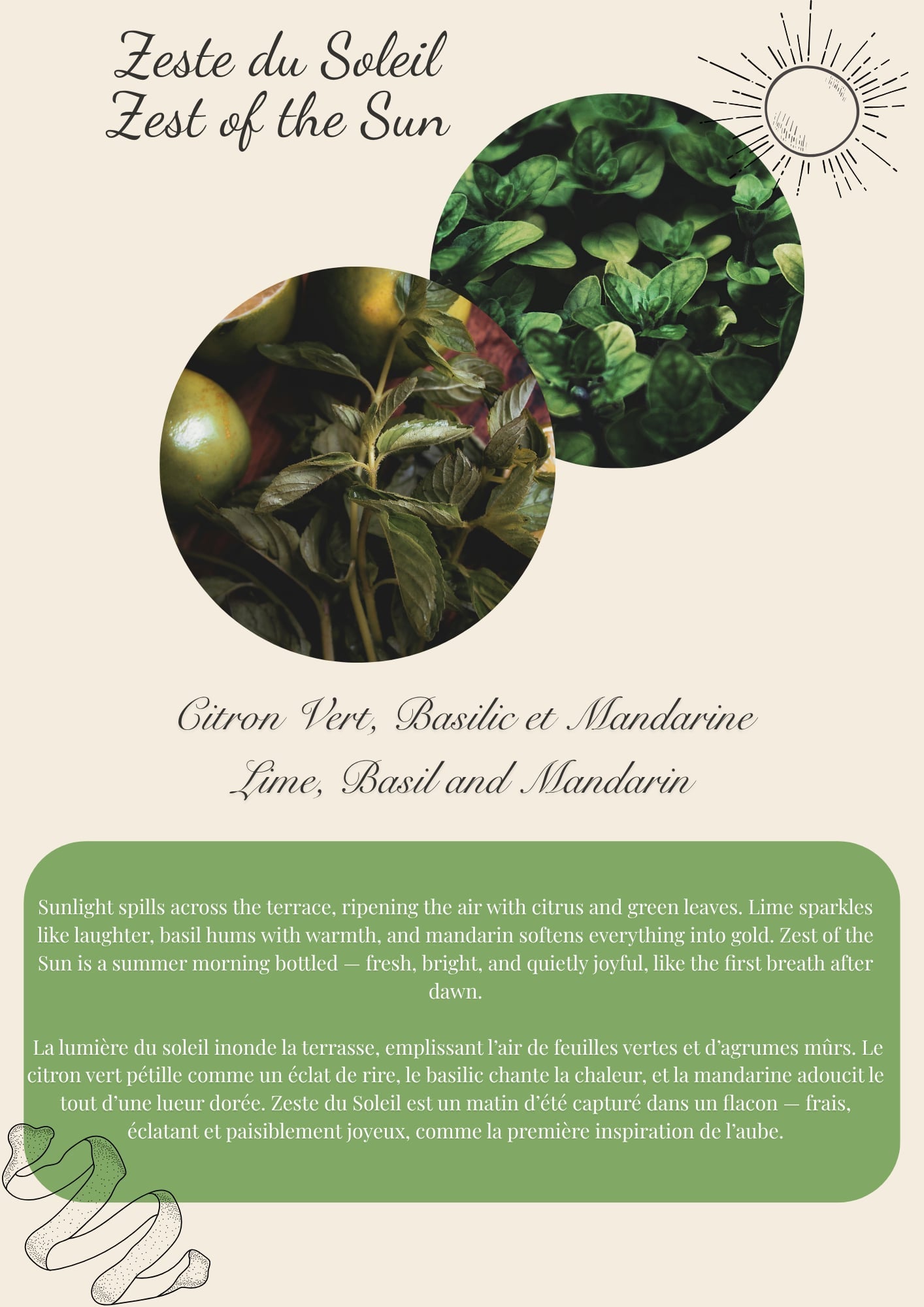 Zest of the Sun / Zeste du Soleil – Single Round Wax Melt Flamme