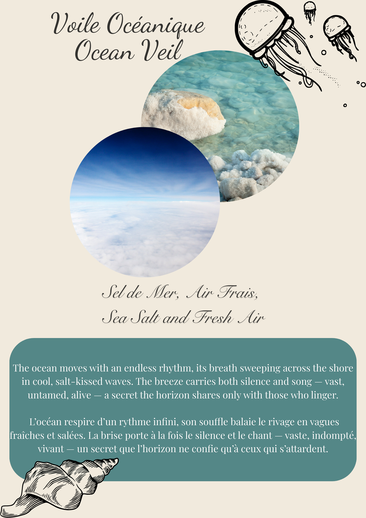 Ocean Veil / Voile Océanique – Mini Wax Melts — coastal candle; coastal candle, sea breeze, ocean air, driftwood, bougie marine, parfum océanique, brise de mer