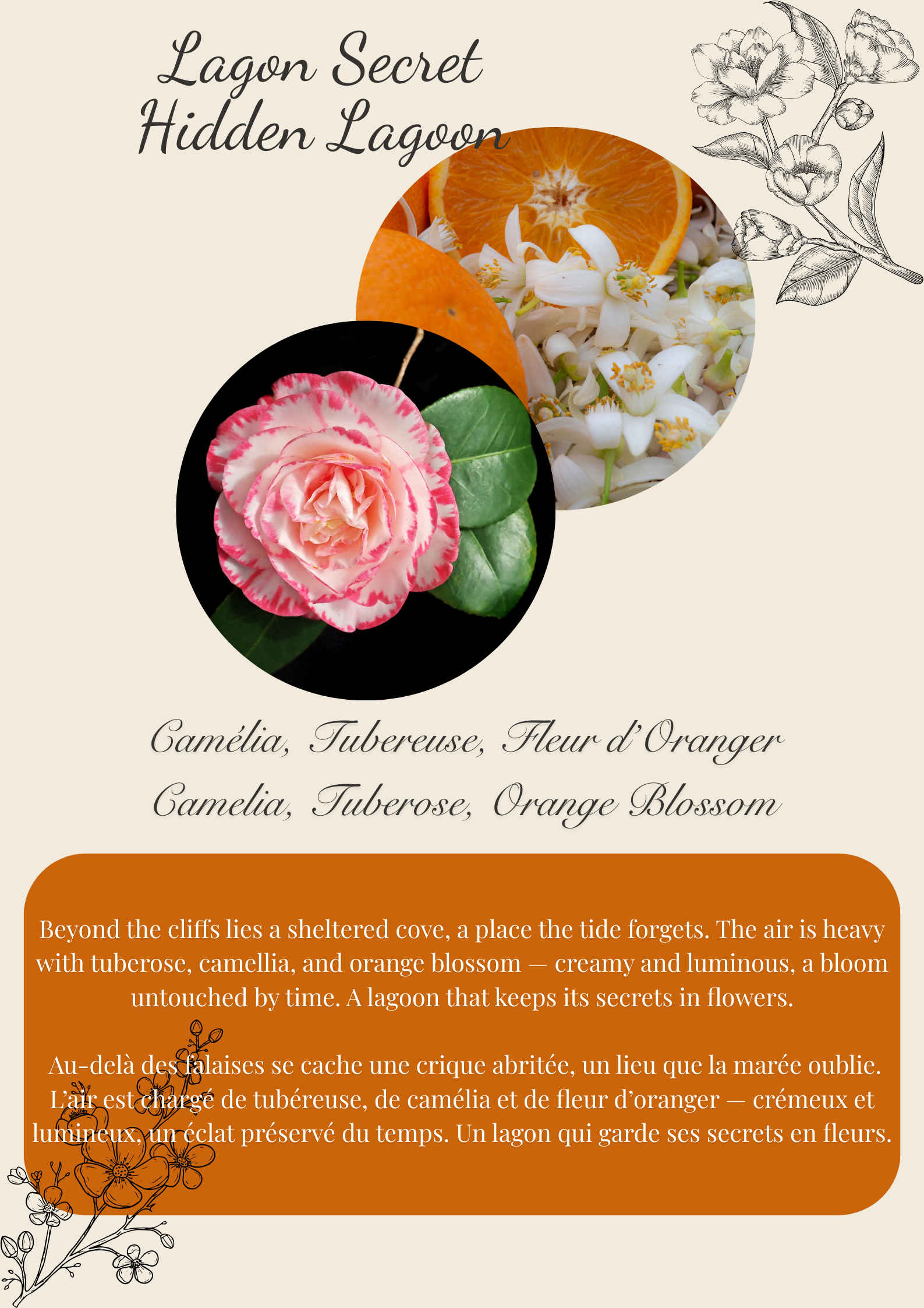 Secret Island Scented Wax Melt Snap Bar: Brittany Inspired Flamme candle co