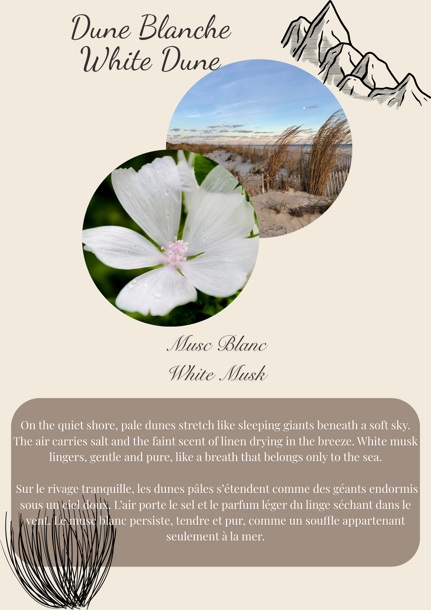 Secret Island Scented Wax Melt Snap Bar: Brittany Inspired Flamme candle co