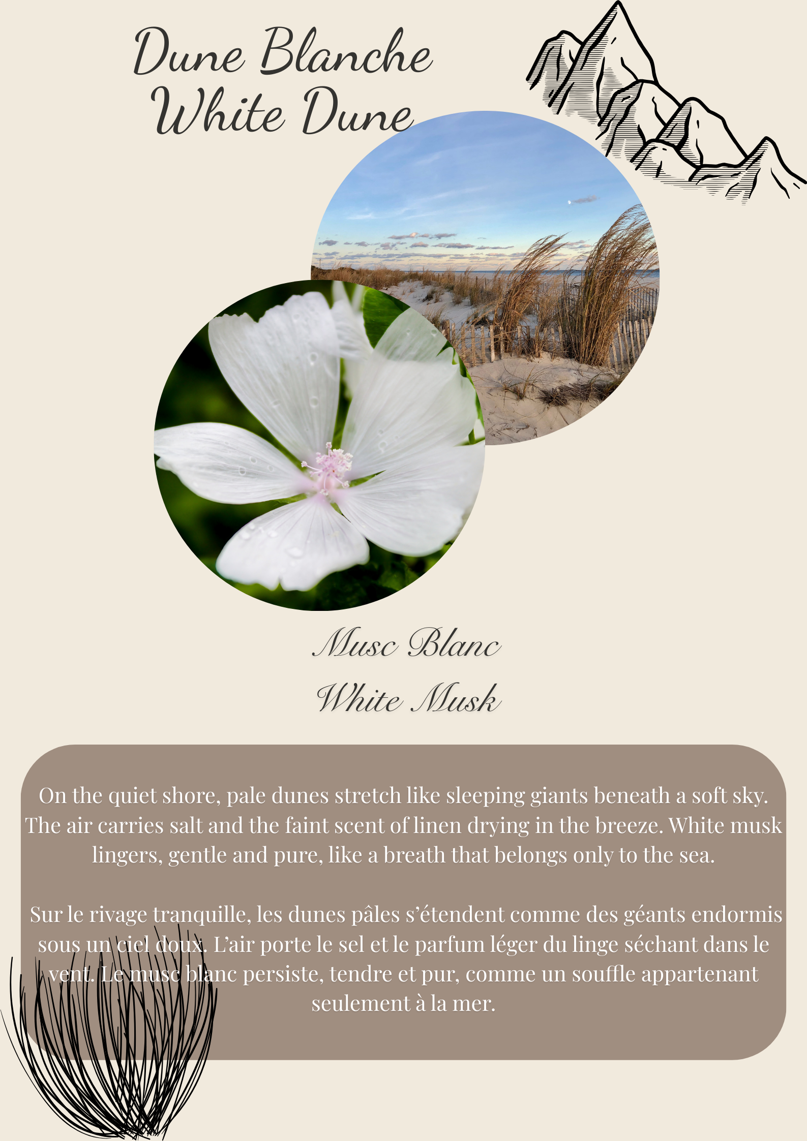 Secret Island Scented Wax Melt Snap Bar: Brittany Inspired Flamme candle co