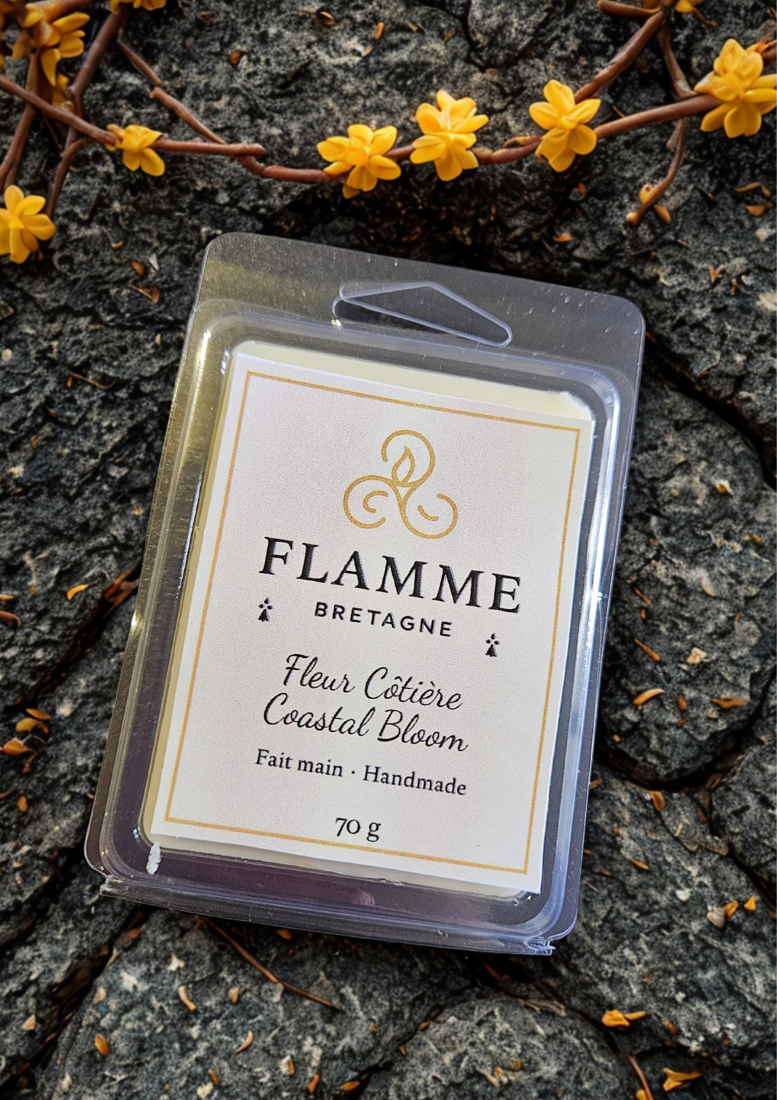 Coastal Bloom / Fleur Côtière – Clamshell Wax Melt — coastal candle; coastal candle, sea breeze, ocean air, driftwood, bougie marine, parfum océanique, brise de mer
