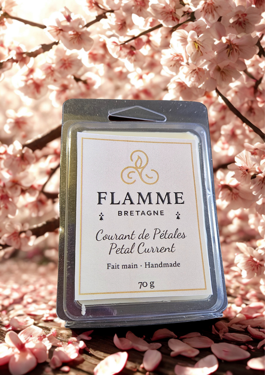 Petal Current / Courant de Pétales – Clamshell Wax Melt — general candle; home fragrance, clean candle, minimal décor, bougie artisanale