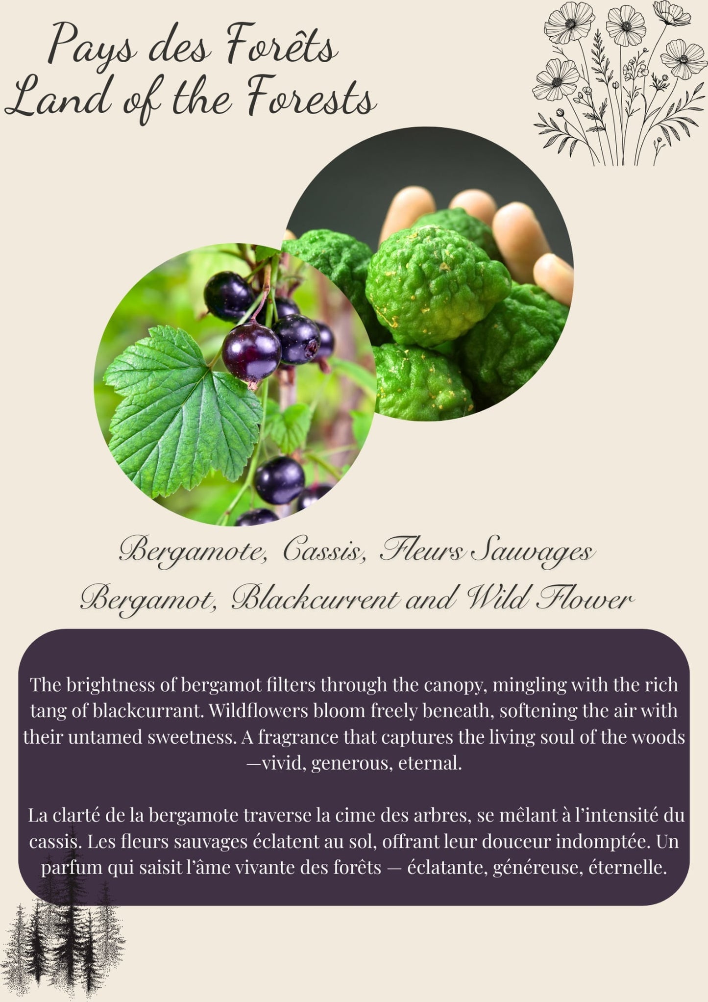 Breton Collection Scented Wax Melts - 50g Flamme candle co