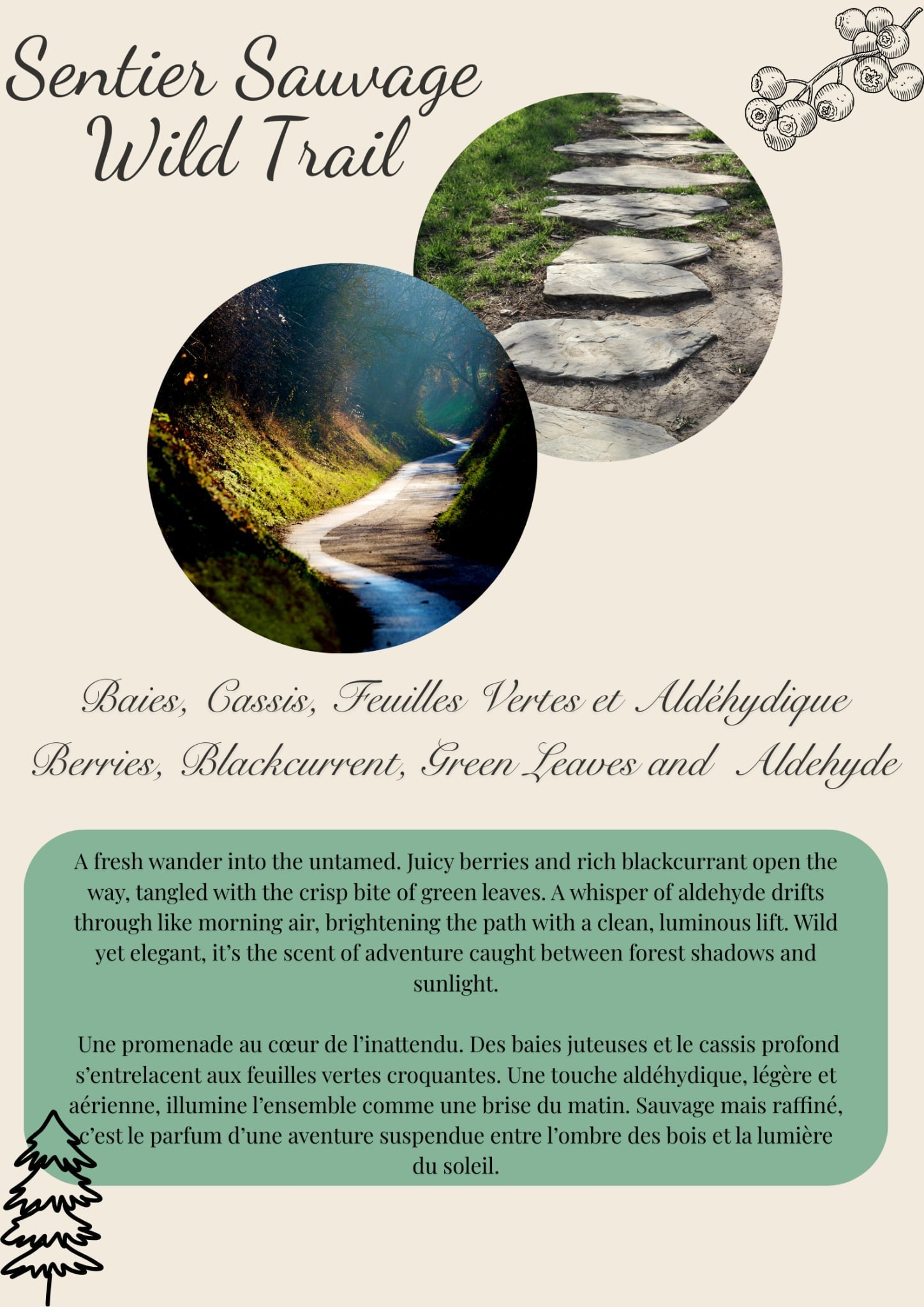 Breton Collection Scented Wax Melts - 50g Flamme candle co