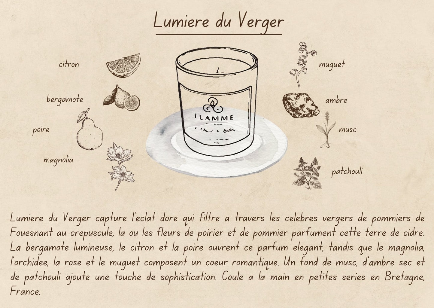 Lumière du Verger - Floral Candle 230g Flamme candle co