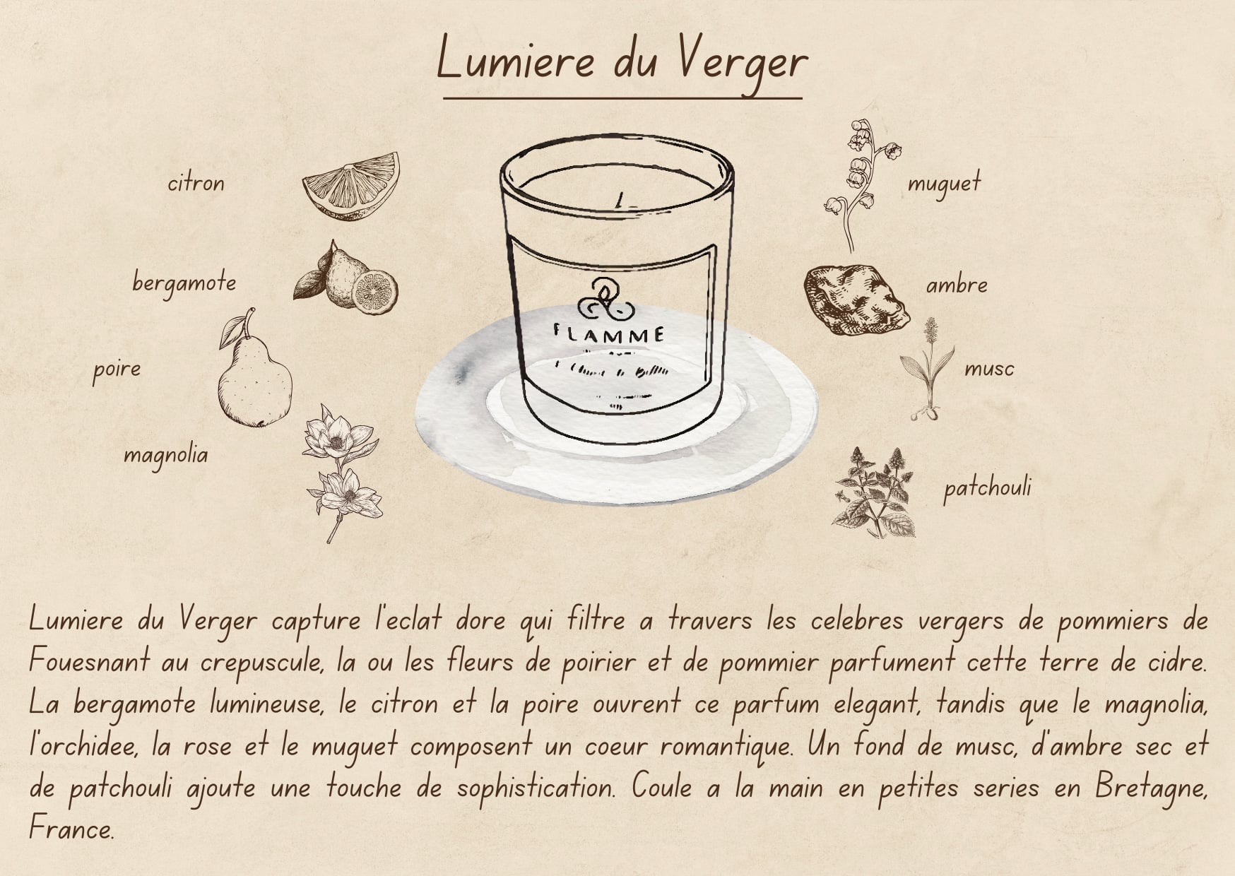 Lumière du Verger - Floral Candle 230g Flamme candle co