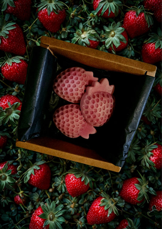 Fruit carnival fruit shape  wax melts.  Pack of 3