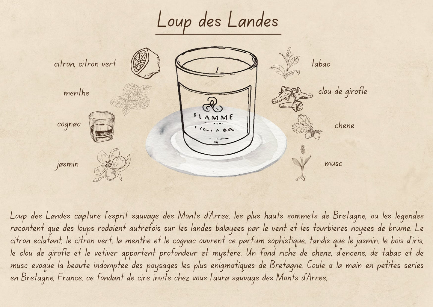 Loup des Landes - Earthy Candle 230g Flamme Candle Co