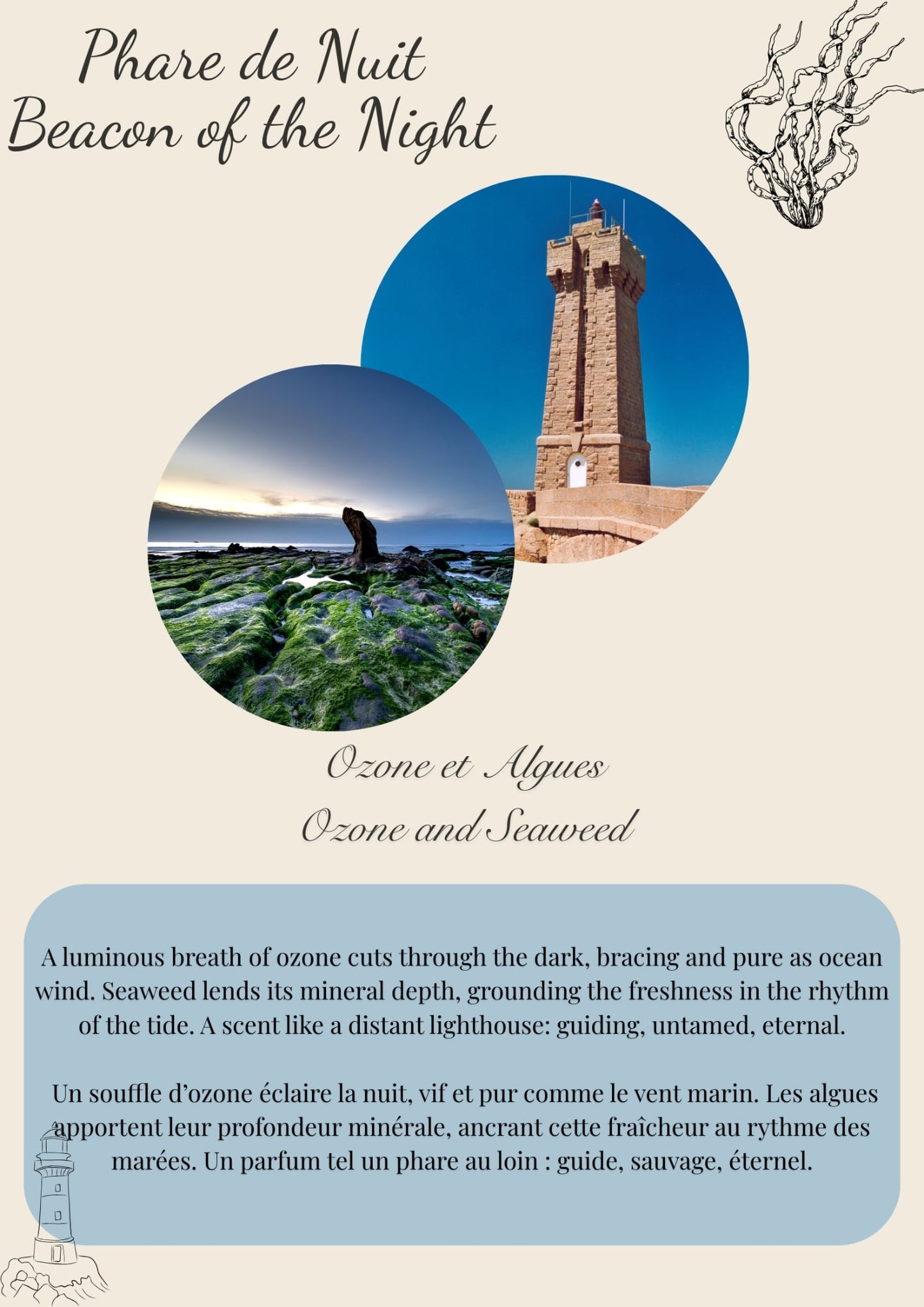 Breton Collection Scented Wax Melts - 50g Flamme candle co