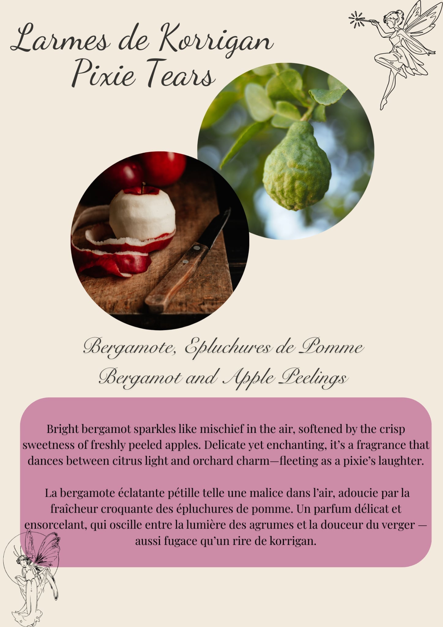 Breton Collection Scented Wax Melts - 50g Flamme candle co