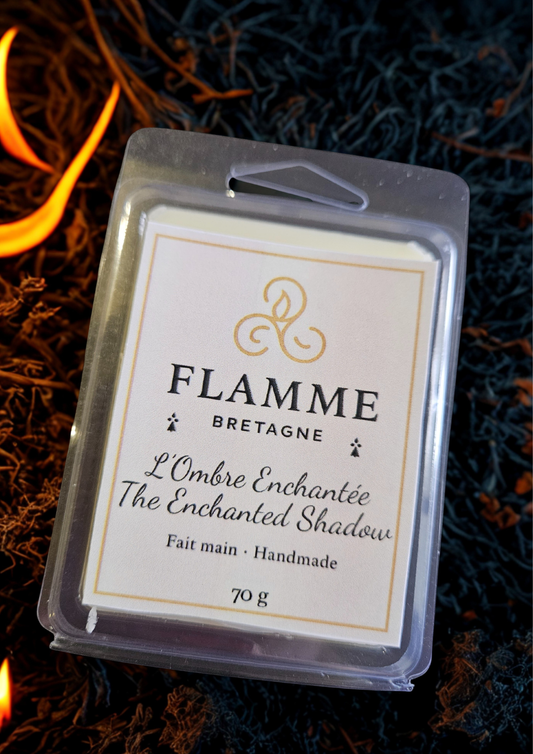 Enchanted Shadow / Ombre Enchantée – Clamshell Wax Melt — general candle; home fragrance, clean candle, minimal décor, bougie artisanale
