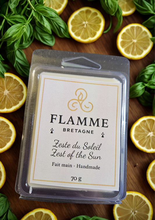 Zest of the Sun / Zeste du Soleil – Clamshell Wax Melt — general candle; home fragrance, clean candle, minimal décor, bougie artisanale